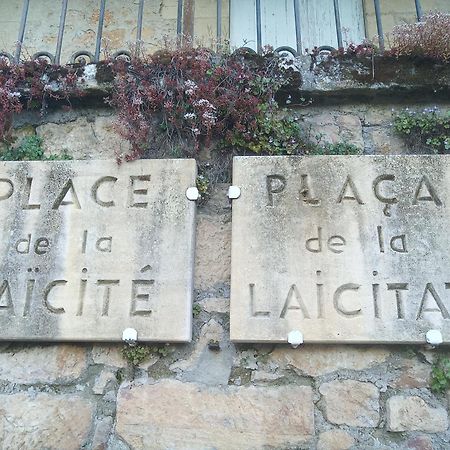 Au Pied Du Chateau - 5 A 11 Personnes - Baignade-Canoe-Piste Cyclable A 100 M カステルノー・ラ・シャペル エクステリア 写真