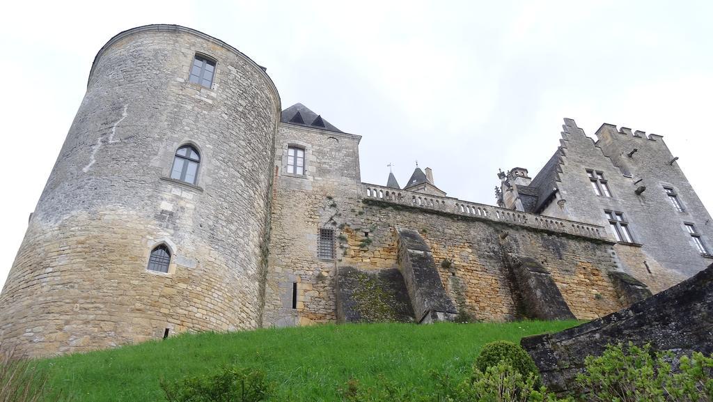 Au Pied Du Chateau - 5 A 11 Personnes - Baignade-Canoe-Piste Cyclable A 100 M カステルノー・ラ・シャペル 部屋 写真