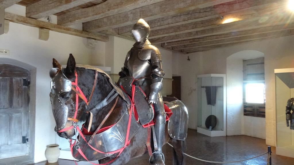 Au Pied Du Chateau - 5 A 11 Personnes - Baignade-Canoe-Piste Cyclable A 100 M カステルノー・ラ・シャペル エクステリア 写真