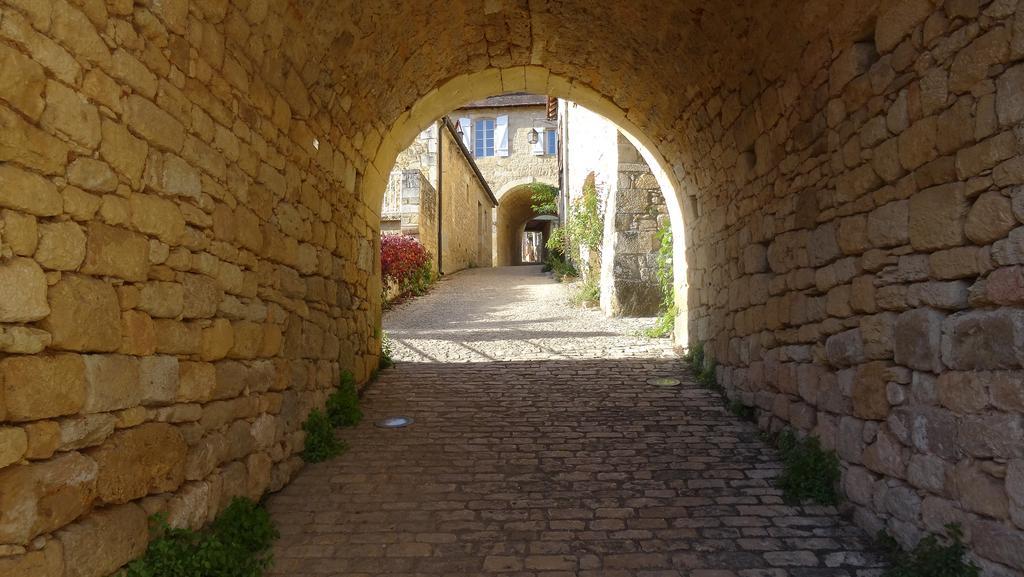 Au Pied Du Chateau - 5 A 11 Personnes - Baignade-Canoe-Piste Cyclable A 100 M カステルノー・ラ・シャペル エクステリア 写真