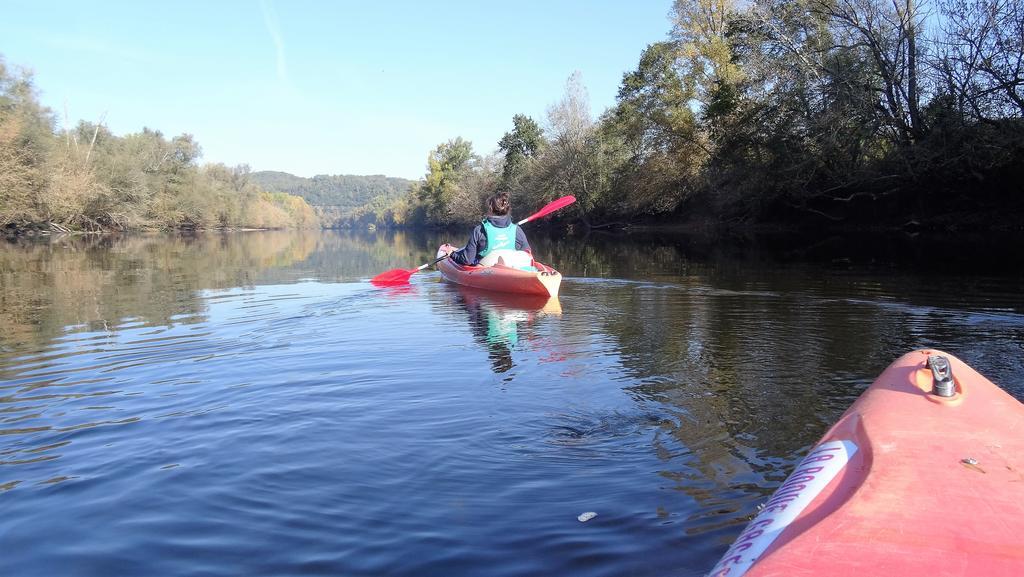Au Pied Du Chateau - 5 A 11 Personnes - Baignade-Canoe-Piste Cyclable A 100 M カステルノー・ラ・シャペル エクステリア 写真