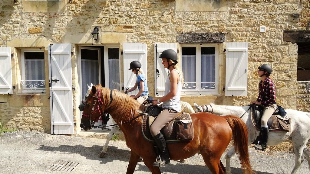 Au Pied Du Chateau - 5 A 11 Personnes - Baignade-Canoe-Piste Cyclable A 100 M カステルノー・ラ・シャペル エクステリア 写真