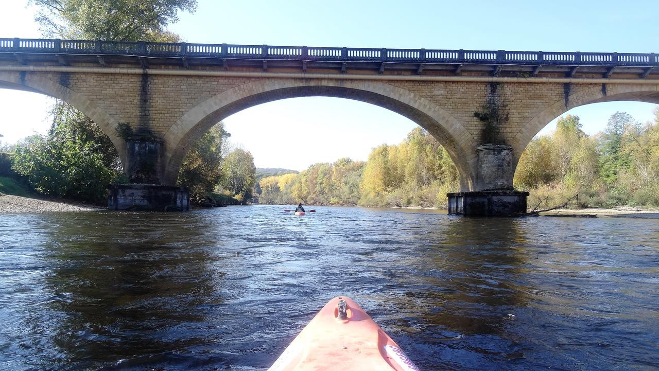 Au Pied Du Chateau - 5 A 11 Personnes - Baignade-Canoe-Piste Cyclable A 100 M カステルノー・ラ・シャペル エクステリア 写真